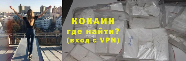стафф Новозыбков