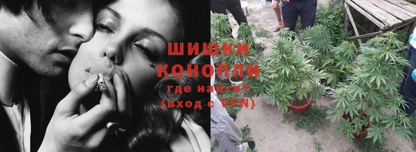 стафф Новозыбков