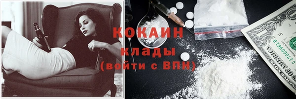 стафф Новозыбков