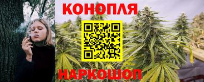 крисы Дубна