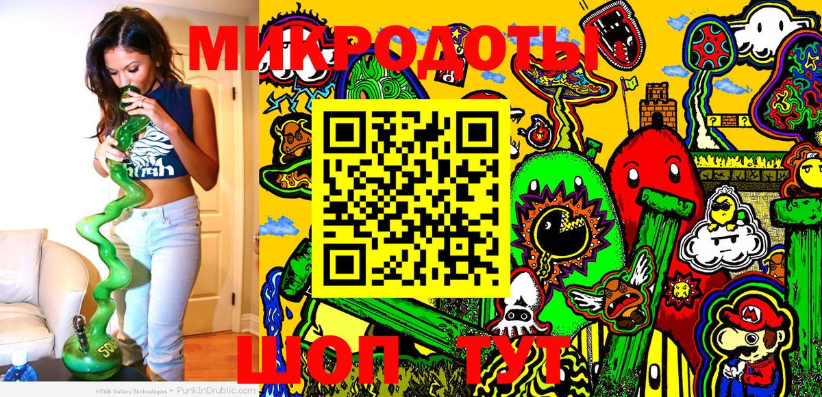 Псилоцибиновые грибы Cubensis Томск