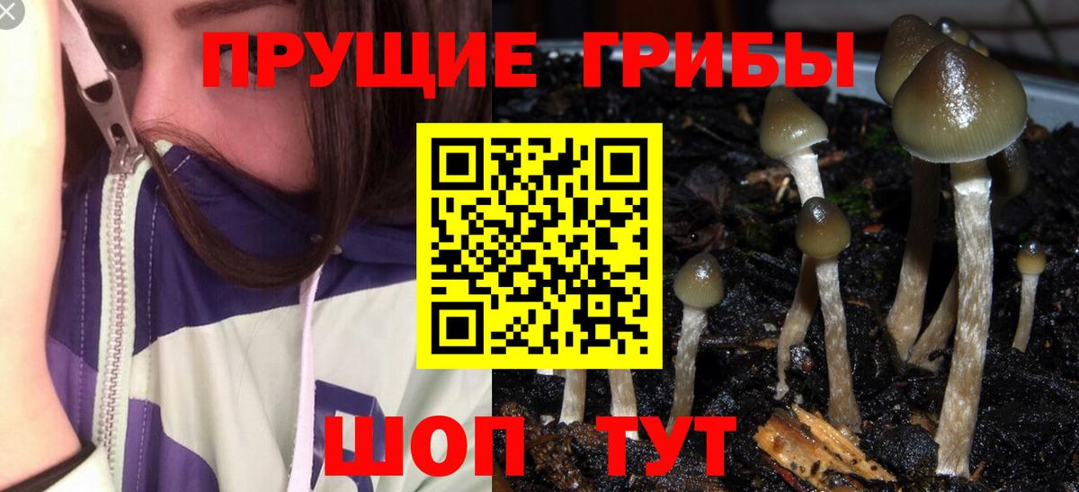 Галлюциногенные грибы мицелий  Вход с VPN  Томск 